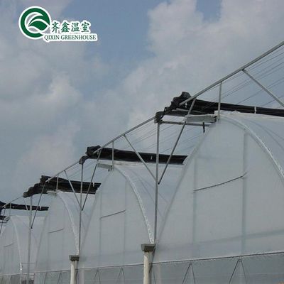 Südkorea Landwirtschaftliches Gewächshaus mit Ebb Flow Rolling Bench und Innenschattierungssystem