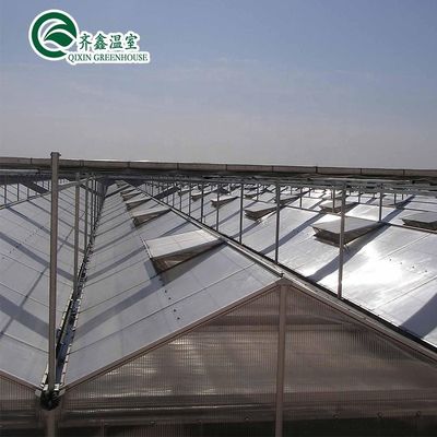 3.8m-9.8m Ridge Height Glas Solar Gewächshaus für Kundenanforderungen