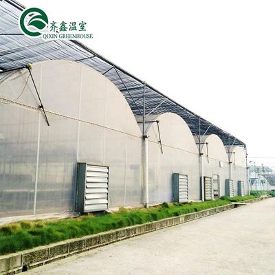 Südkorea Landwirtschaftliches Gewächshaus mit Ebb Flow Rolling Bench und Innenschattierungssystem