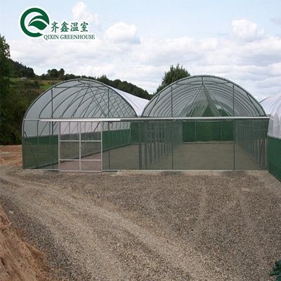 Südkorea Landwirtschaftliches Gewächshaus mit Ebb Flow Rolling Bench und Innenschattierungssystem