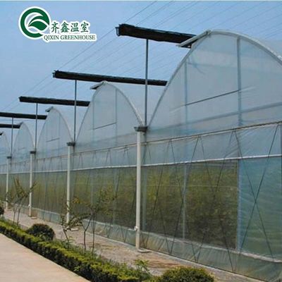 Kunststofffolie überzogenes Polytunnel-Gewächshaus mit hydroponischem System und Lüftung