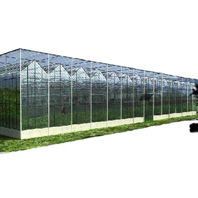 Individuell angepasster Kanada Tunnel Gewächshaus Garten Tunnel mit Glas oder PC-Blatt