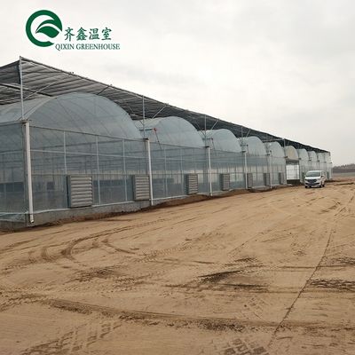 Kunststofffolie überzogenes Polytunnel-Gewächshaus mit hydroponischem System und Lüftung