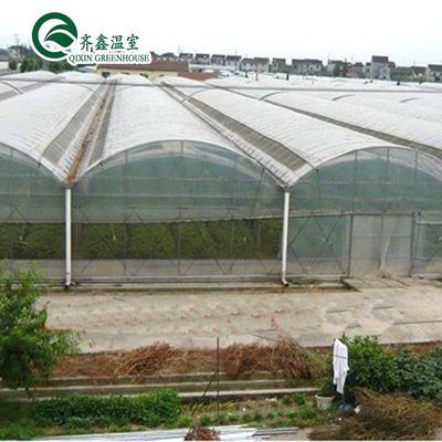 Kunststofffolie überzogenes Polytunnel-Gewächshaus mit hydroponischem System und Lüftung