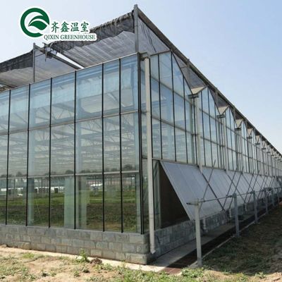 Individuell angepasster Kanada Tunnel Gewächshaus Garten Tunnel mit Glas oder PC-Blatt