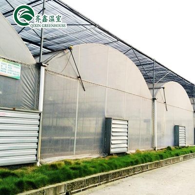 Kunststofffolie überzogenes Polytunnel-Gewächshaus mit hydroponischem System und Lüftung