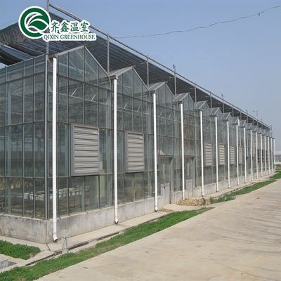 Gewächshaus aus galvanisiertem Stahlrohr aus Venlo mit Turngart und optimalen Schattierungssystemen