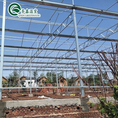 Gewächshaus aus galvanisiertem Stahlrohr aus Venlo mit Turngart und optimalen Schattierungssystemen