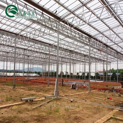 Gewächshaus aus galvanisiertem Stahlrohr aus Venlo mit Turngart und optimalen Schattierungssystemen