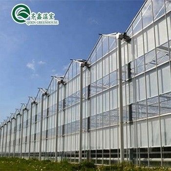 Polycarbonatblech, das transparente Solarzellen für Gewächshäuser abdeckt