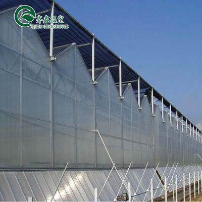 Polycarbonatblech, das transparente Solarzellen für Gewächshäuser abdeckt