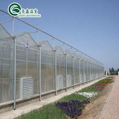 Polycarbonatblech, das transparente Solarzellen für Gewächshäuser abdeckt