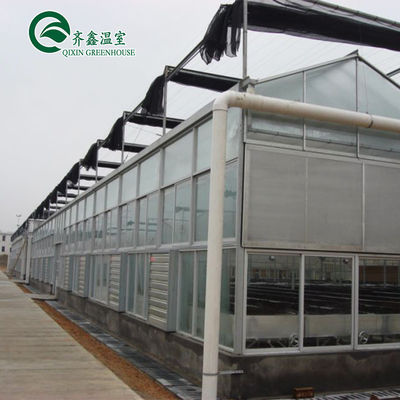 Polycarbonatblech, das transparente Solarzellen für Gewächshäuser abdeckt