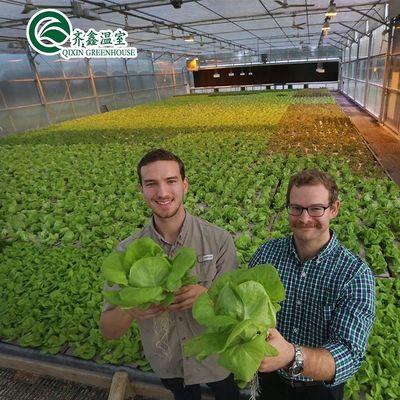 Mehrspannende landwirtschaftliche Gewächshäuser mit PO-Film, die Innenhydroponische Systeme neu definieren