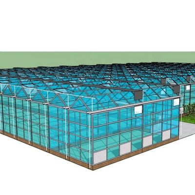 Gemüse Früchte Blumen Aquaponik-System Mehrspannen landwirtschaftliche Gewächshäuser Ertrag