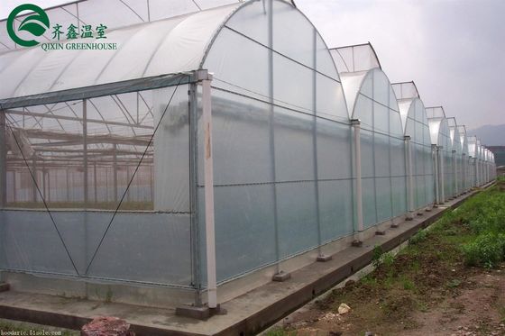 Doppelschichtgrünhaus für den Anbau von Gemüse, Früchten und Blumen
