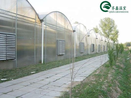 Doppelschichtgrünhaus für den Anbau von Gemüse, Früchten und Blumen