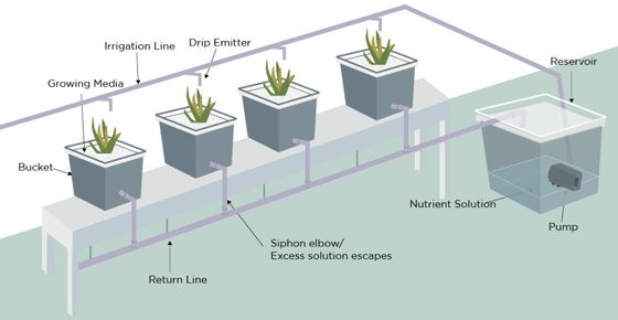 PO Die ultimative Lösung für vertikalen Anbau in mehrspannenden landwirtschaftlichen Gewächshäusern