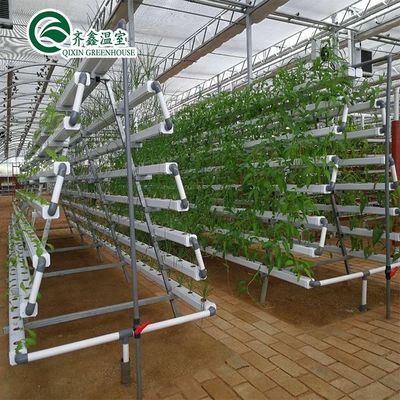 PO-Filmgeschützte hydroponische Anbausysteme für Gewächshäuser