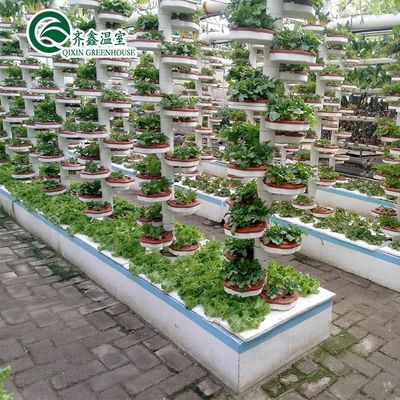 PO-Filmgeschützte hydroponische Anbausysteme für Gewächshäuser