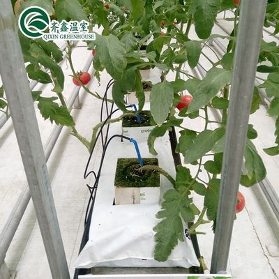 PO-Filmgeschützte hydroponische Anbausysteme für Gewächshäuser