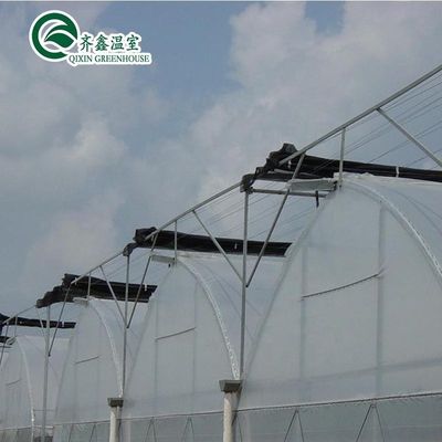 Multi-Span Gewächshausfilm für UV-Schutz und optimale Wachstumsbedingungen