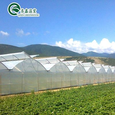Lüftungsöffnungen für das optimale Wachstum von Tomaten und anderen Gemüse im Gewächshaus