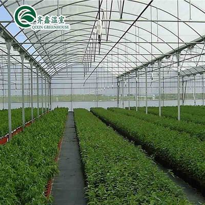 Lüftungsöffnungen für das optimale Wachstum von Tomaten und anderen Gemüse im Gewächshaus