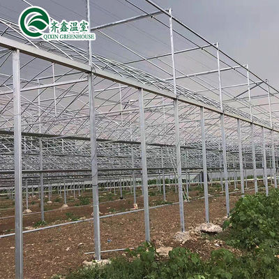 Doppelschicht-hydroponisches Gewächshaus für den Anbau von Tomaten in kontrollierter Umgebung